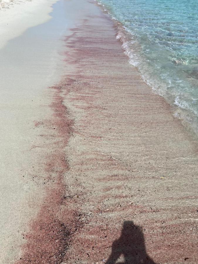 Le Cocon Bord De Mer Belgodere  Luaran gambar